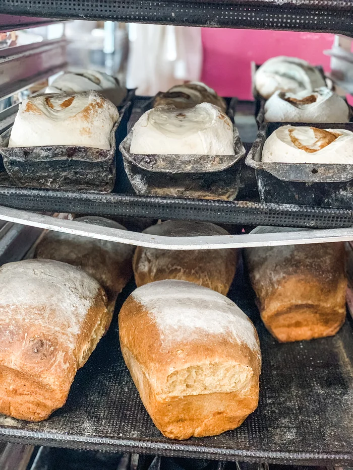 Round sourdough loaves cooling on a steel bakery rack.